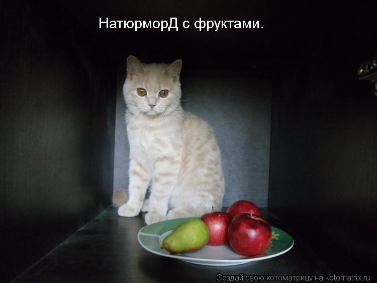 Котоматрица: НатюрморД с фруктами.