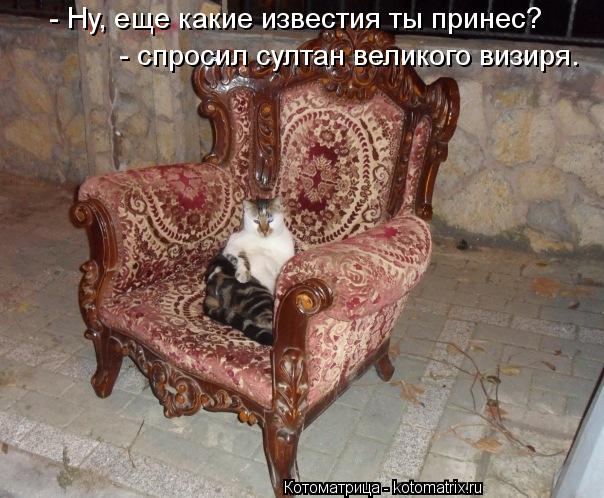 Котоматрица: - Ну, еще какие известия ты принес? - спросил султан великого визиря.