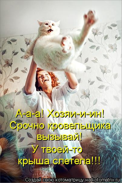 А-а-а! Хозяи-и-ин! Срочно кровельщика вызывай! У твоей-то крыша слетела!!!... Котоматрица: А-а-а! Хозяи-и-ин! Срочно кровельщика вызывай! У твоей-то крыша слетела!!!