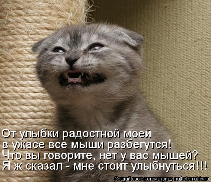 Я ж сказал - мне стоит улыбнуться!!! Что вы говорите, нет у вас мышей? в ужасе все мыши разбегутся! О... Котоматрица: Я ж сказал - мне стоит улыбнуться!!! Что вы говорите, нет у вас мышей? в ужасе все мыши разбегутся! От улыбки радостной моей