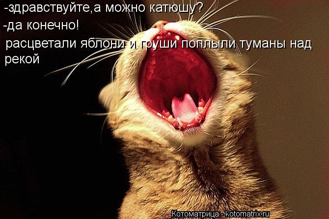 -здравствуйте,а можно катюшу? -да конечно! расцветали яблони и груши поплыли туманы над рекой... Котоматрица: -здравствуйте,а можно катюшу? -да конечно! расцветали яблони и груши поплыли туманы над рекой