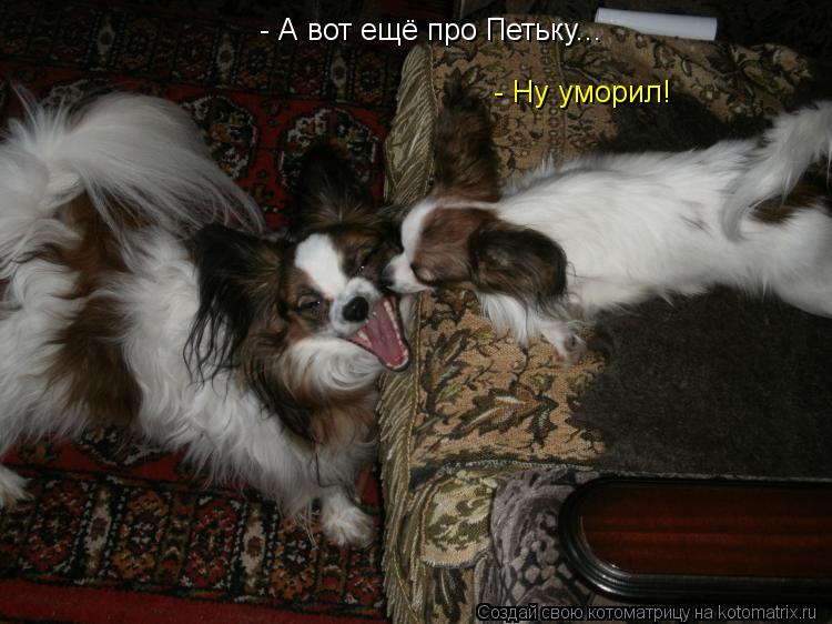 - Ну уморил! - А вот ещё про Петьку...... Котоматрица: - Ну уморил! - А вот ещё про Петьку...