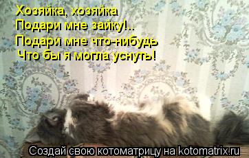 Хозяйка, хозяйка Подари мне зайку!.. Подари мне что-нибудь Что бы я могла уснуть!... Котоматрица: Хозяйка, хозяйка Подари мне зайку!.. Подари мне что-нибудь Что бы я могла уснуть!