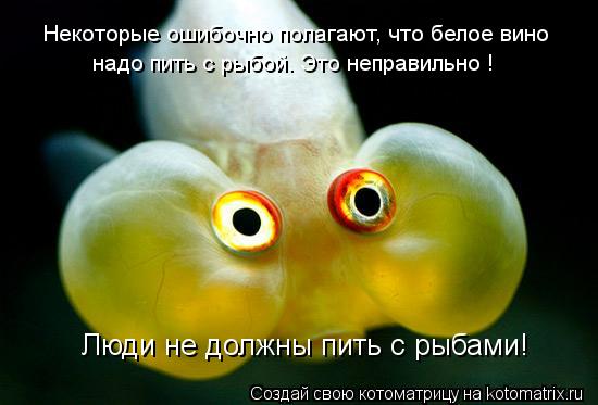 Некоторые ошибочно полагают, что белое вино надо пить с рыбой. Это неправильно ! Люди не должны пить ... Котоматрица: Некоторые ошибочно полагают, что белое вино надо пить с рыбой. Это неправильно ! Люди не должны пить с рыбами!