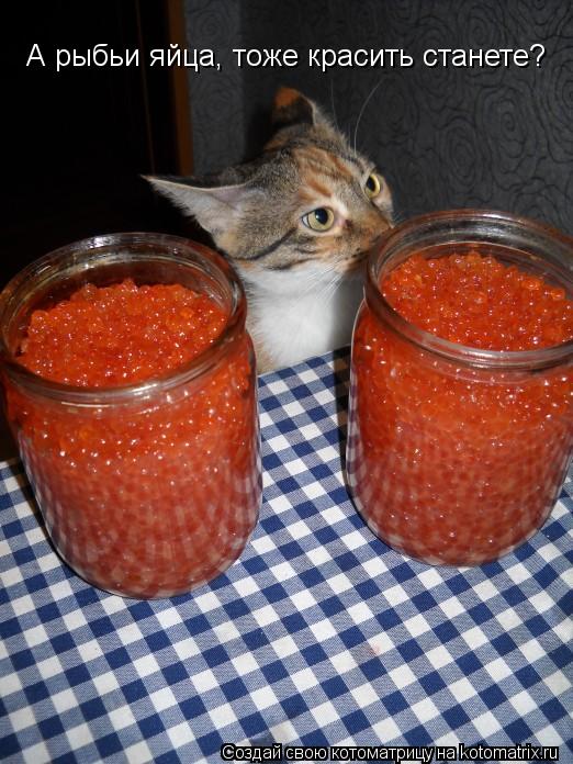 А рыбьи яйца, тоже красить станете?... Котоматрица: А рыбьи яйца, тоже красить станете?