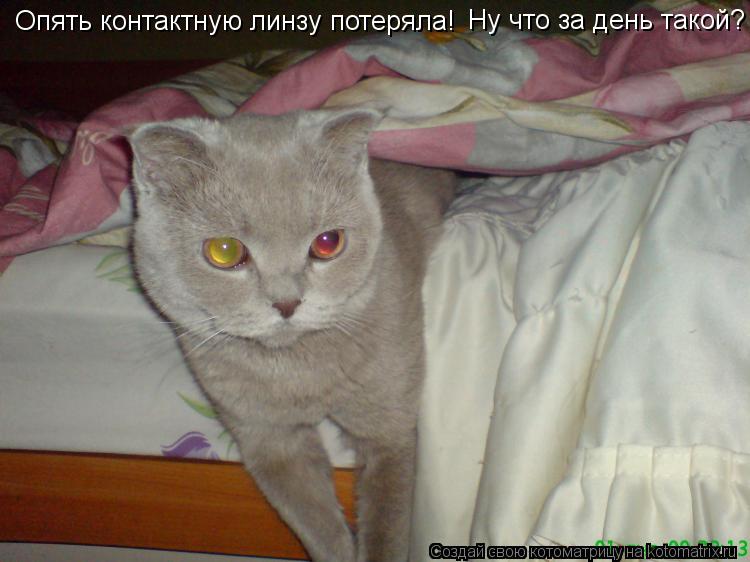 Котоматрица: Опять контактную линзу потеряла! Ну что за день такой?
