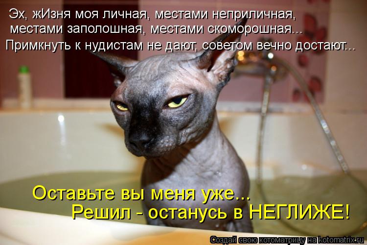 Котоматрица: Эх, жИзня моя личная, местами неприличная,  местами заполошная, местами скоморошная... Примкнуть к нудистам не дают, советом вечно достают... 