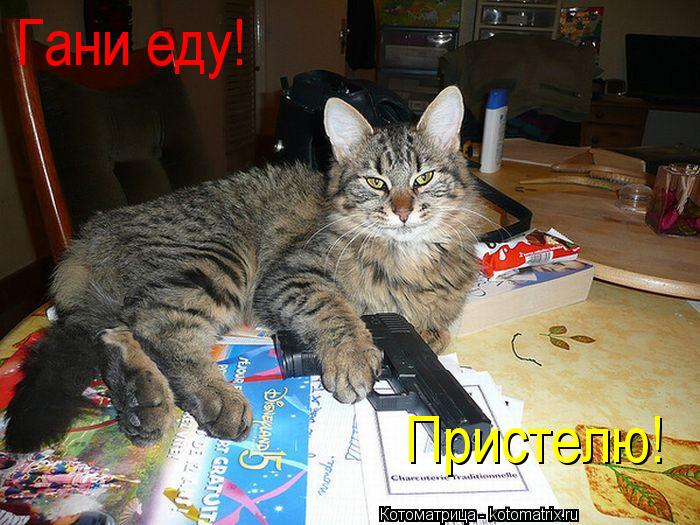 Котоматрица: Гани еду! Пристелю!