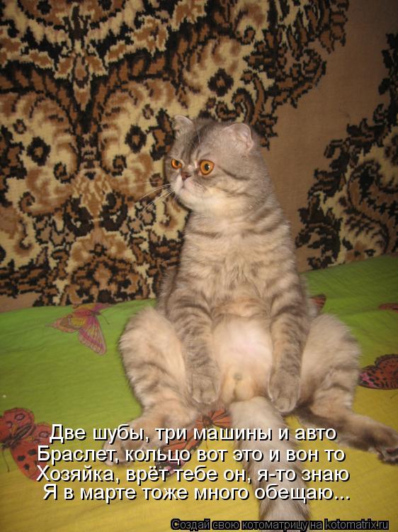 Две шубы, три машины и авто Браслет, кольцо вот это и вон то Хозяйка, врёт тебе он, я-то знаю Я в мар... Котоматрица: Две шубы, три машины и авто Браслет, кольцо вот это и вон то Хозяйка, врёт тебе он, я-то знаю Я в марте тоже много обещаю...