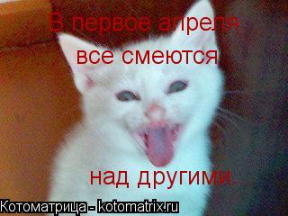 Котоматрица: В первое апреля все смеются  над другими...