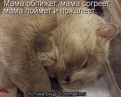 Мама оближет, мама согреет, мама поймет и пожалеет...... Котоматрица: Мама оближет, мама согреет, мама поймет и пожалеет...