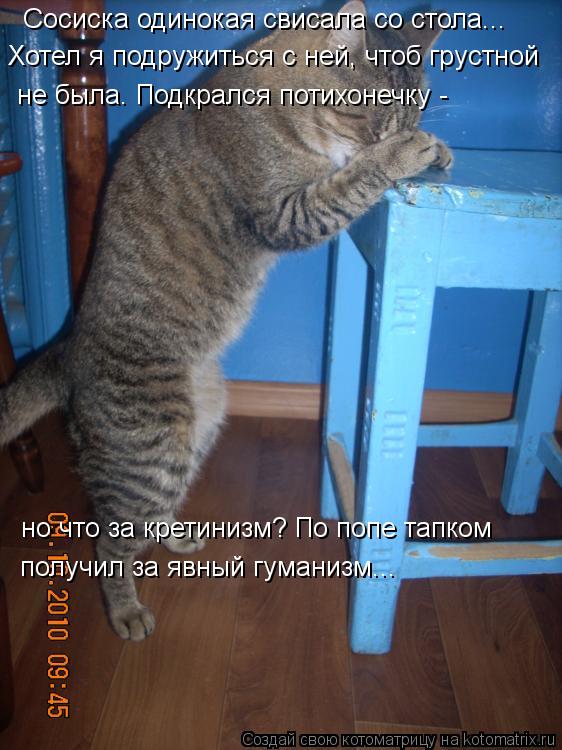 Сосиска одинокая свисала со стола... Хотел я подружиться с ней, чтоб грустной но что за кретинизм? П... Котоматрица: Сосиска одинокая свисала со стола... Хотел я подружиться с ней, чтоб грустной но что за кретинизм? По попе тапком получил за явный гуманизм..