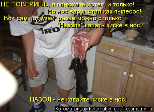 НЕ ПОВЕРИШЬ, я понюхать хотел, и только! Но нос вдруг стал как пылесос! Вот сам подумай, разве можно ... Котоматрица: НЕ ПОВЕРИШЬ, я понюхать хотел, и только! Но нос вдруг стал как пылесос! Вот сам подумай, разве можно столько "Назола" капать киске в нос? НАЗОЛ