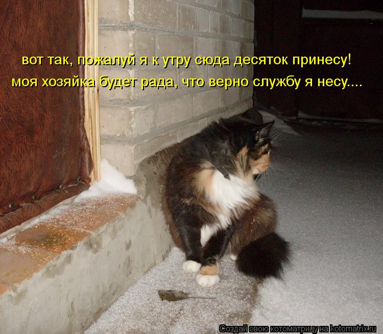 вот так, пожалуй я к утру сюда десяток принесу! моя хозяйка будет рада, что верно службу я несу....... Котоматрица: вот так, пожалуй я к утру сюда десяток принесу! моя хозяйка будет рада, что верно службу я несу....