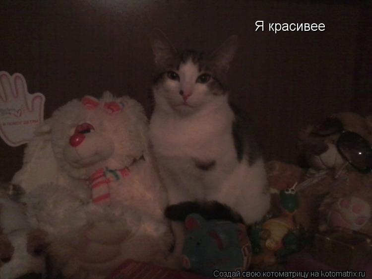 Я красивее... Котоматрица: Я красивее