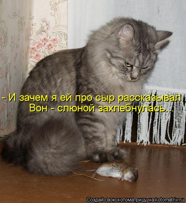 - И зачем я ей про сыр рассказывал... Вон - слюной захлебнулась...... Котоматрица: - И зачем я ей про сыр рассказывал... Вон - слюной захлебнулась...