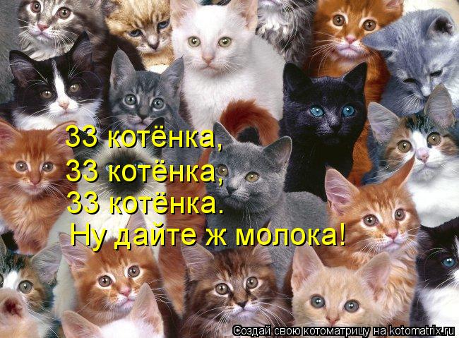 33 котёнка, 33 котёнка, 33 котёнка. Ну дайте ж молока!... Котоматрица: 33 котёнка, 33 котёнка, 33 котёнка. Ну дайте ж молока!