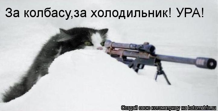 За колбасу,за холодильник! УРА!... Котоматрица: За колбасу,за холодильник! УРА!