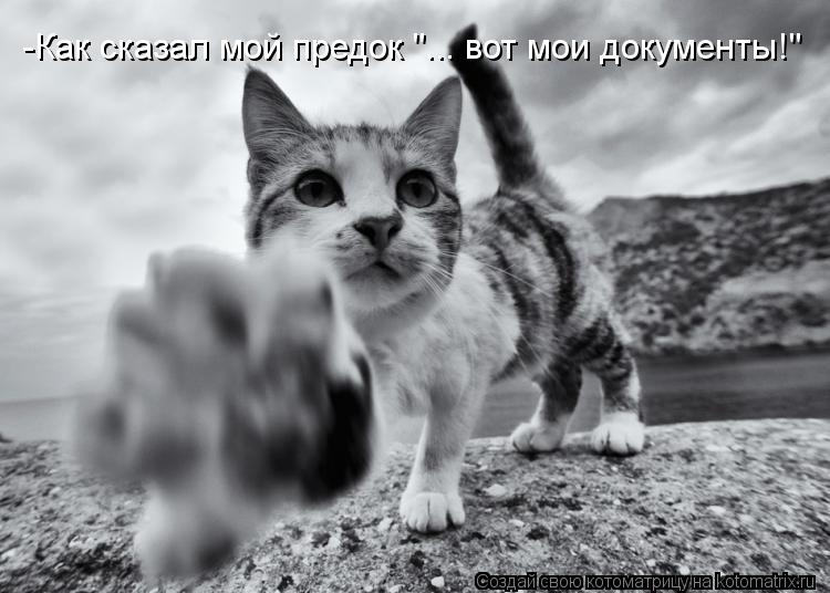 -Как сказал мой предок "... вот мои документы!"... Котоматрица: -Как сказал мой предок "... вот мои документы!"