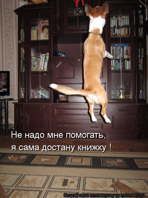 Не надо мне помогать, я сама достану книжку !... Котоматрица: Не надо мне помогать, я сама достану книжку !
