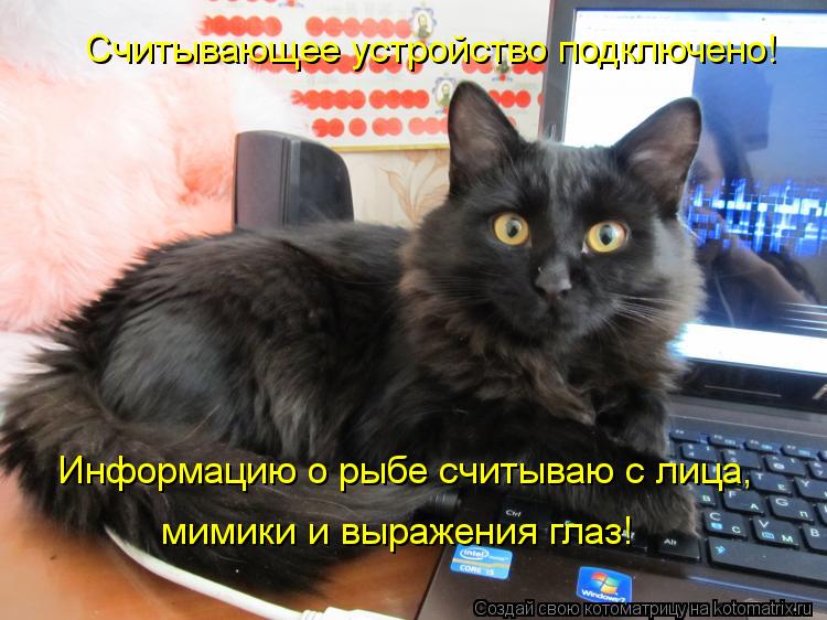 Считывающее устройство подключено! Информацию о рыбе считываю с лица, мимики и выражения глаз!... Котоматрица: Считывающее устройство подключено! Информацию о рыбе считываю с лица, мимики и выражения глаз!