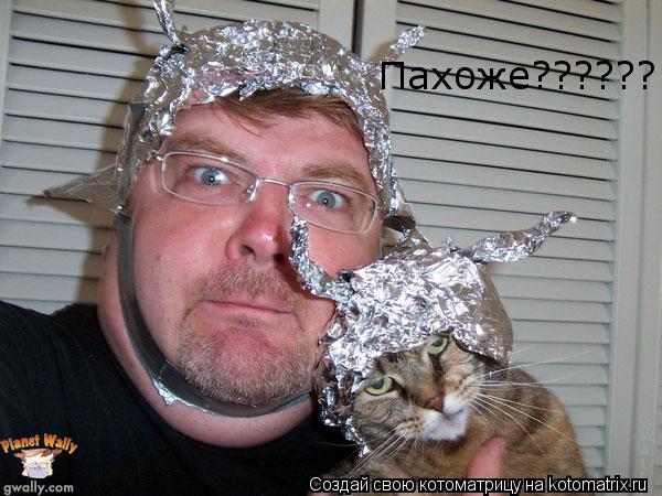 Пахоже??????... Котоматрица: Пахоже??????