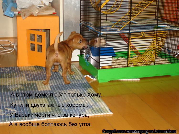 А в этом доме любят только Хому, Купили двухэтажные хоромы. У Васьки чёрти что за конура, А я вообще ... Котоматрица: А в этом доме любят только Хому, Купили двухэтажные хоромы. У Васьки чёрти что за конура, А я вообще болтаюсь без угла.
