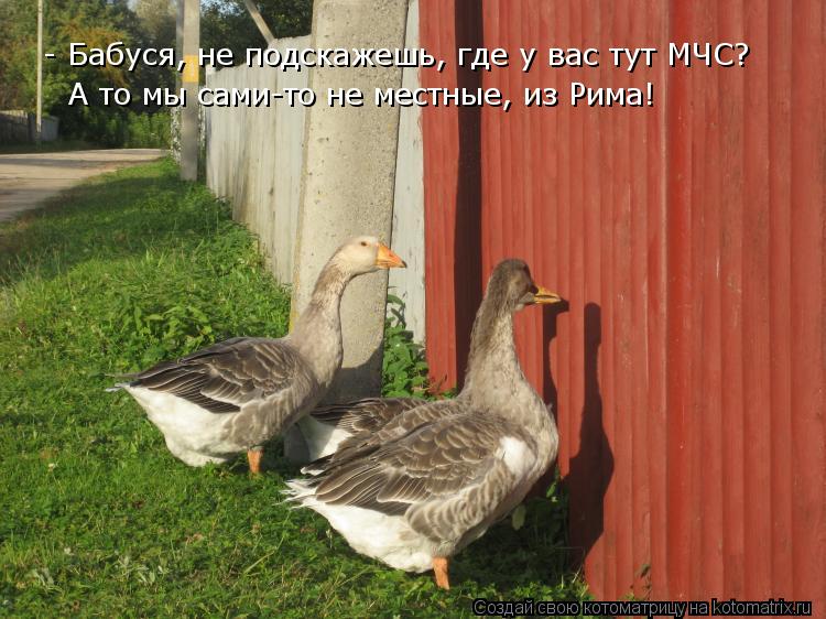 - Бабуся, не подскажешь, где у вас тут МЧС? А то мы сами-то не местные, из Рима!... Котоматрица: - Бабуся, не подскажешь, где у вас тут МЧС? А то мы сами-то не местные, из Рима!