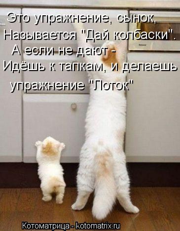 Это упражнение, сынок, Называется "Дай колбаски". А если не дают - Идёшь к тапкам, и делаешь упраж... Котоматрица: Это упражнение, сынок, Называется "Дай колбаски". А если не дают - Идёшь к тапкам, и делаешь упражнение "Лоток"