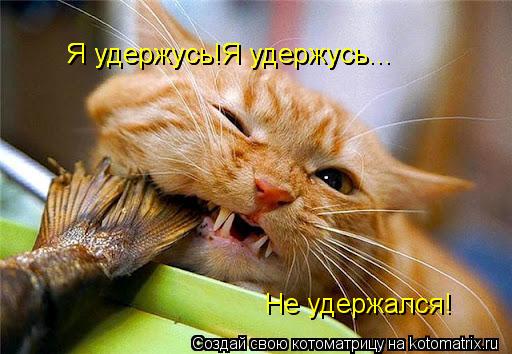 Я удержусь!Я удержусь... Я удержусь!Я удержусь... Я удержусь!Я удержусь... Не удержался!... Котоматрица: Я удержусь!Я удержусь... Я удержусь!Я удержусь... Я удержусь!Я удержусь... Не удержался!