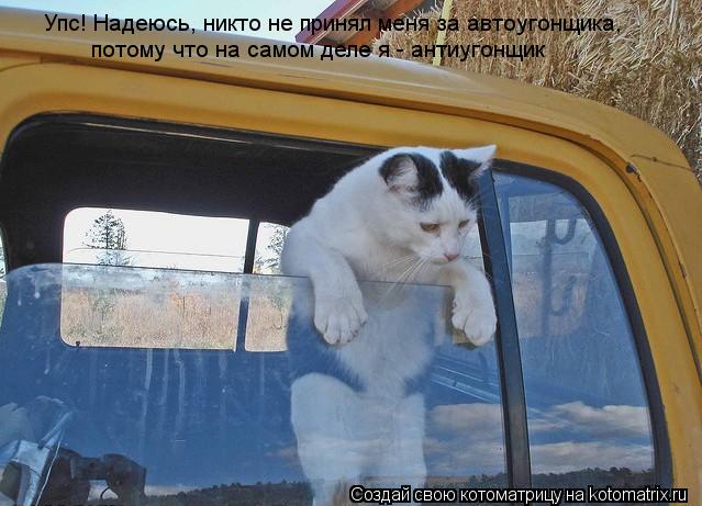Упс! Надеюсь, никто не принял меня за автоугонщика, потому что на самом деле я - антиугонщик... Котоматрица: Упс! Надеюсь, никто не принял меня за автоугонщика, потому что на самом деле я - антиугонщик