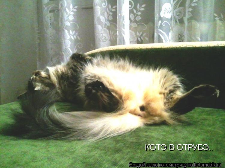 КОТЭ В ОТРУБЭ..... Котоматрица: КОТЭ В ОТРУБЭ..