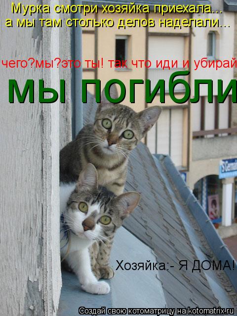 Мурка смотри хозяйка приехала... а мы там столько делов наделали... чего?мы?это ты! так что иди и уби... Котоматрица: Мурка смотри хозяйка приехала... а мы там столько делов наделали... чего?мы?это ты! так что иди и убирай Хозяйка:- Я ДОМА! мы погибли
