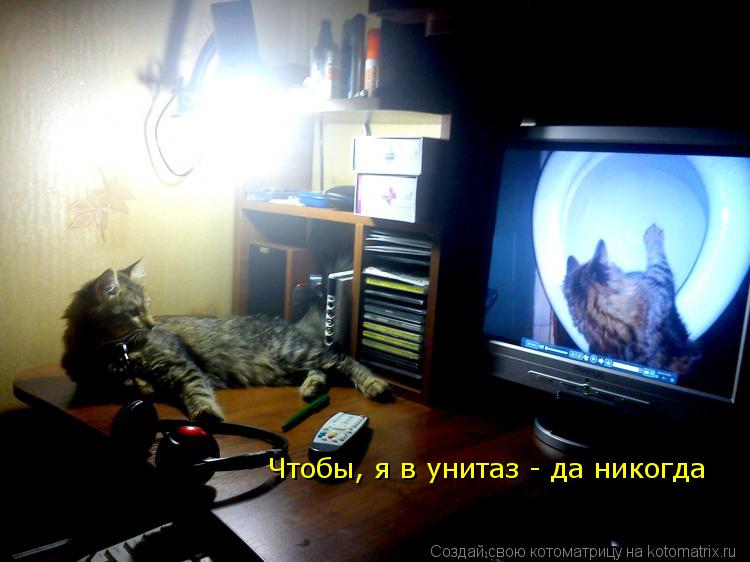 Чтобы, я в унитаз - да никогда... Котоматрица: Чтобы, я в унитаз - да никогда
