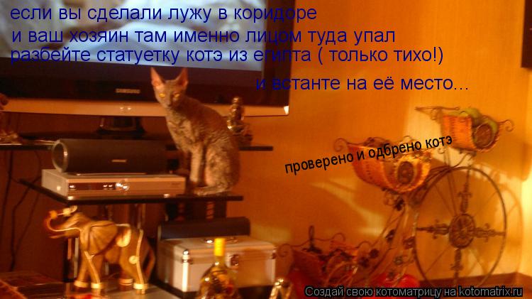 если вы сделали лужу в коридоре и ваш хозяин там именно лицом туда упал разбейте статуетку котэ из ег... Котоматрица: если вы сделали лужу в коридоре и ваш хозяин там именно лицом туда упал разбейте статуетку котэ из египта ( только тихо!) и встанте на её мест