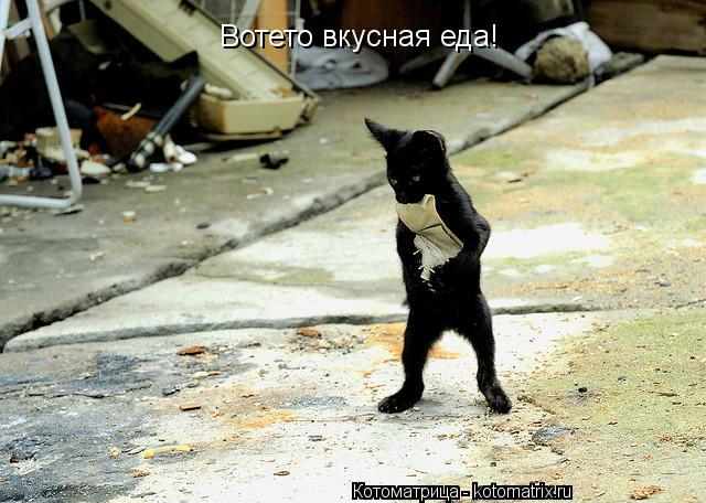 Вотето вкусная еда!... Котоматрица: Вотето вкусная еда!