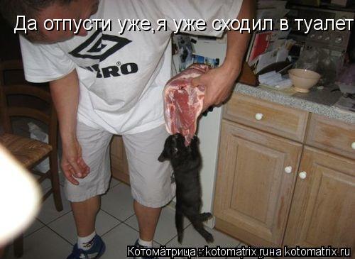 Да отпусти уже,я уже сходил в туалет в миску!... Котоматрица: Да отпусти уже,я уже сходил в туалет в миску!