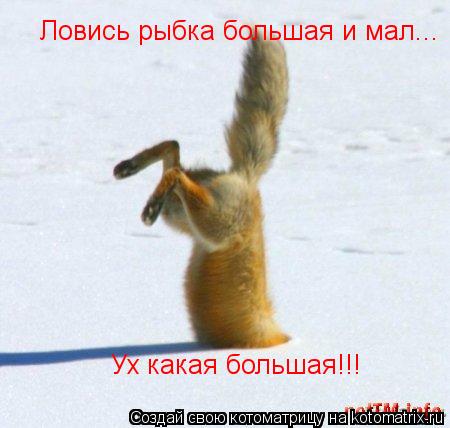 Ловись рыбка большая и мал... Ух какая большая!!!... Котоматрица: Ловись рыбка большая и мал... Ух какая большая!!!