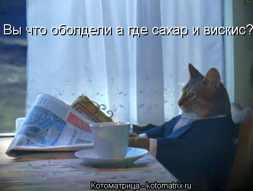 Вы что оболдели а где сахар и вискис?... Котоматрица: Вы что оболдели а где сахар и вискис?