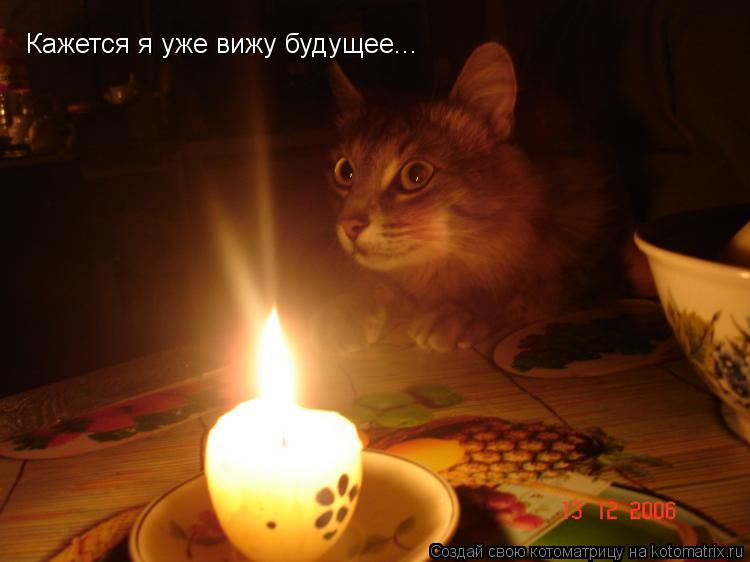 Кажется я уже вижу будущее...... Котоматрица: Кажется я уже вижу будущее...