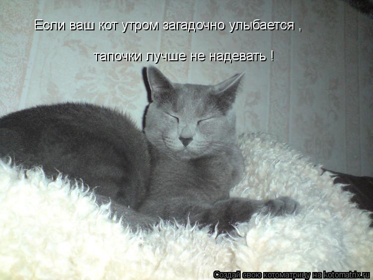 Если ваш кот утром загадочно улыбается , тапочки лучше не надевать !... Котоматрица: Если ваш кот утром загадочно улыбается , тапочки лучше не надевать !