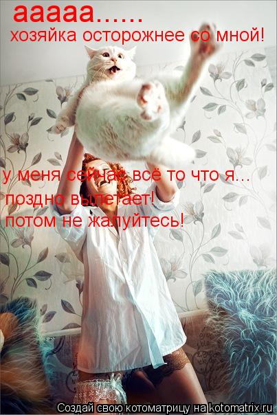 ааааа...... хозяйка осторожнее со мной! у меня сейчас всё то что я... поздно вылетает! потом не жалуй... Котоматрица: ааааа...... хозяйка осторожнее со мной! у меня сейчас всё то что я... поздно вылетает! потом не жалуйтесь!