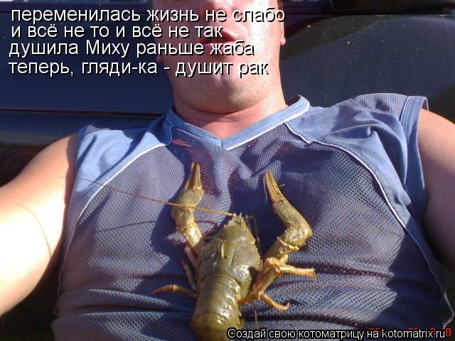 переменилась жизнь не слабо и всё не то и всё не так душила Миху раньше жаба теперь, гляди-ка - душит... Котоматрица: переменилась жизнь не слабо и всё не то и всё не так душила Миху раньше жаба теперь, гляди-ка - душит рак