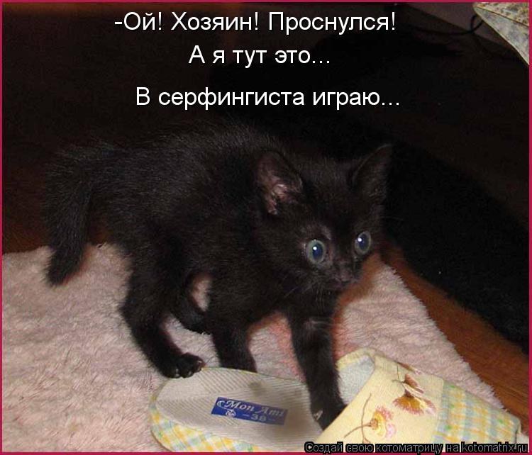 -Ой! Хозяин! Проснулся! А я тут это... В серфингиста играю...... Котоматрица: -Ой! Хозяин! Проснулся! А я тут это... В серфингиста играю...