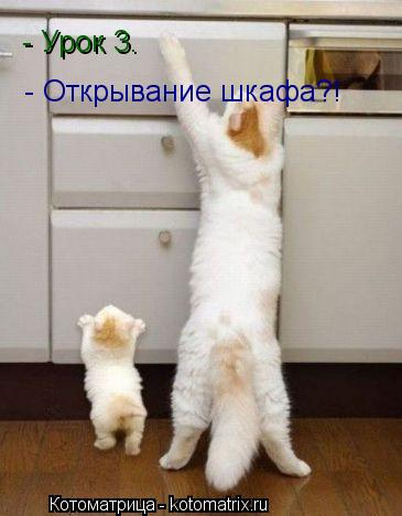 - Урок 3. - Открывание шкафа?!... Котоматрица: - Урок 3. - Открывание шкафа?!
