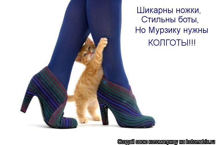 Шикарны ножки, Стильны боты, Но Мурзику нужны КОЛГОТЫ!!!... Котоматрица: Шикарны ножки, Стильны боты, Но Мурзику нужны КОЛГОТЫ!!!