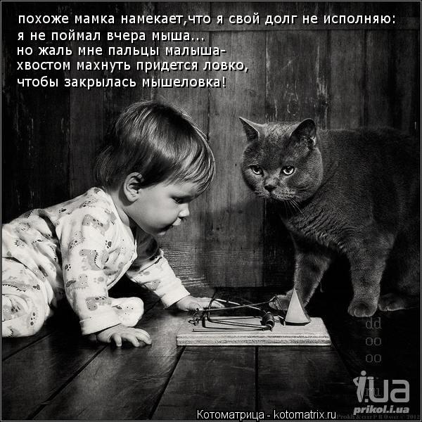 похоже мамка намекает,что я свой долг не исполняю: я не поймал вчера мыша... но жаль мне пальцы малыш... Котоматрица: похоже мамка намекает,что я свой долг не исполняю: я не поймал вчера мыша... но жаль мне пальцы малыша- хвостом махнуть придется ловко, чтобы