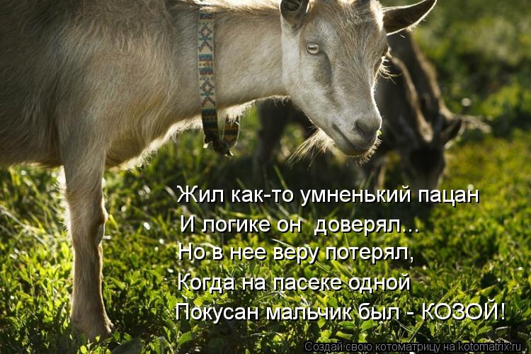 Жил как-то умненький пацан И логике он доверял... Но в нее веру потерял, Когда на пасеке одной Покус... Котоматрица: Жил как-то умненький пацан И логике он доверял... Но в нее веру потерял, Когда на пасеке одной Покусан мальчик был - КОЗОЙ!