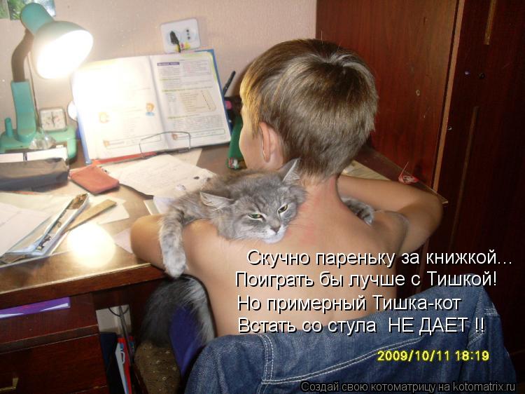 Скучно пареньку за книжкой... Поиграть бы лучше с Тишкой! Но примерный Тишка-кот Встать со стула НЕ ... Котоматрица: Скучно пареньку за книжкой... Поиграть бы лучше с Тишкой! Но примерный Тишка-кот Встать со стула НЕ ДАЕТ !!