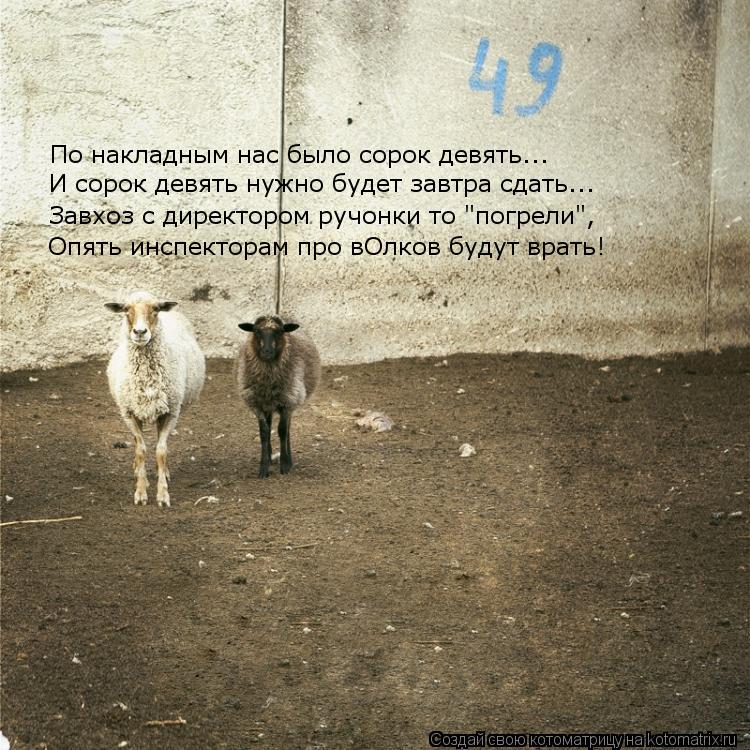 И сорок девять нужно будет завтра сдать... По накладным нас было сорок девять... Завхоз с директором ... Котоматрица: И сорок девять нужно будет завтра сдать... По накладным нас было сорок девять... Завхоз с директором ручонки то "погрели", Опять инспекторам п